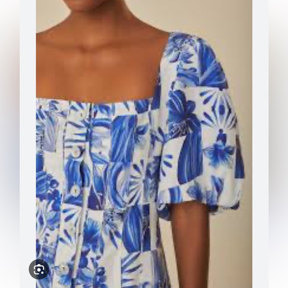 Caroline Constas 🔥 ☀️ Floral Blue and White line mini dress A line. - Picture 11 of 13